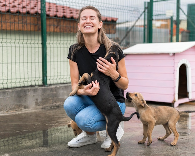 how to train a rescue dog