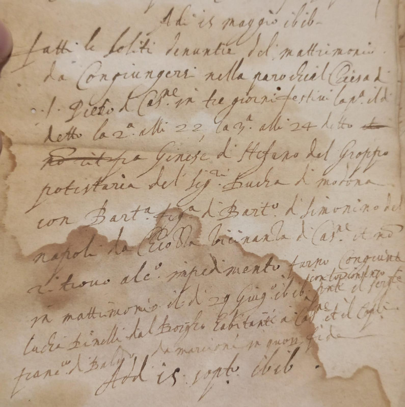 Immagine WhatsApp 2024-07-08 ore 12.15.16_ccf7ad30