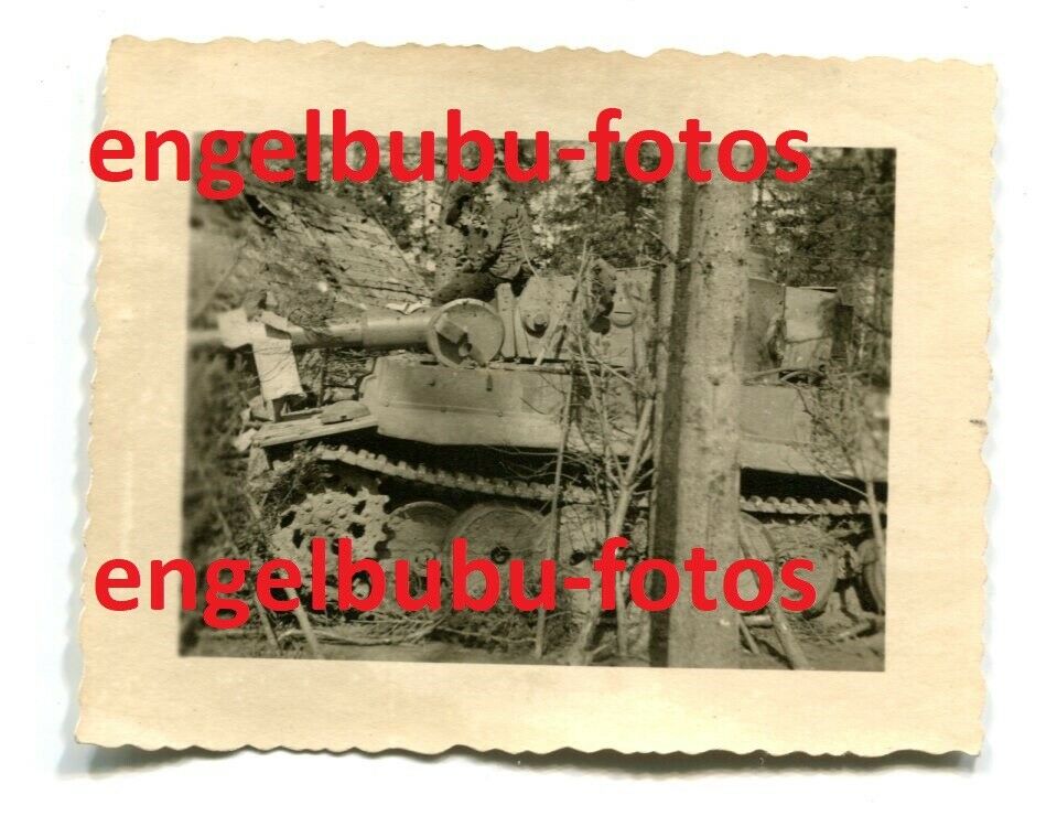 FOTO - PANZER - TIGER - Panzer VI Baltzerweg  Newa (1)