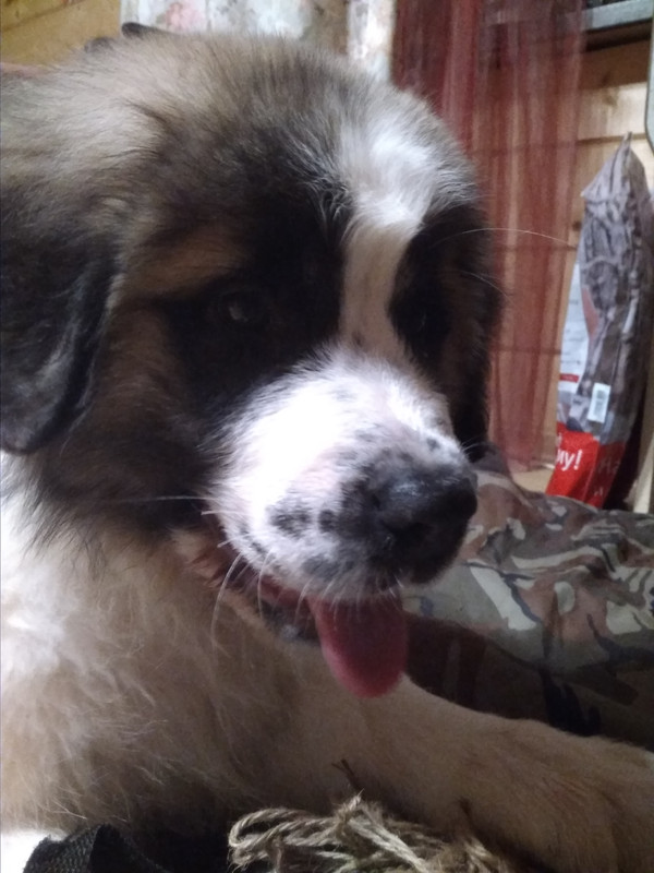 Первый вечер 2