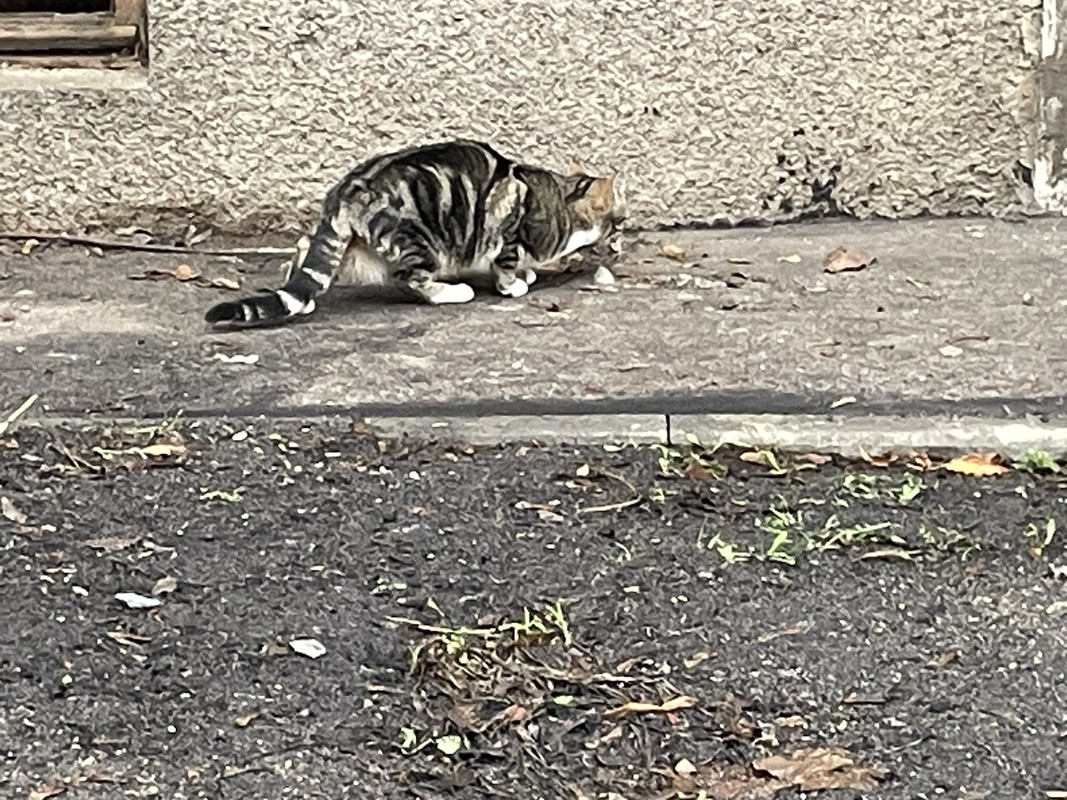 C14D255B-B804-44FA-9259-1DAF2DA4551D