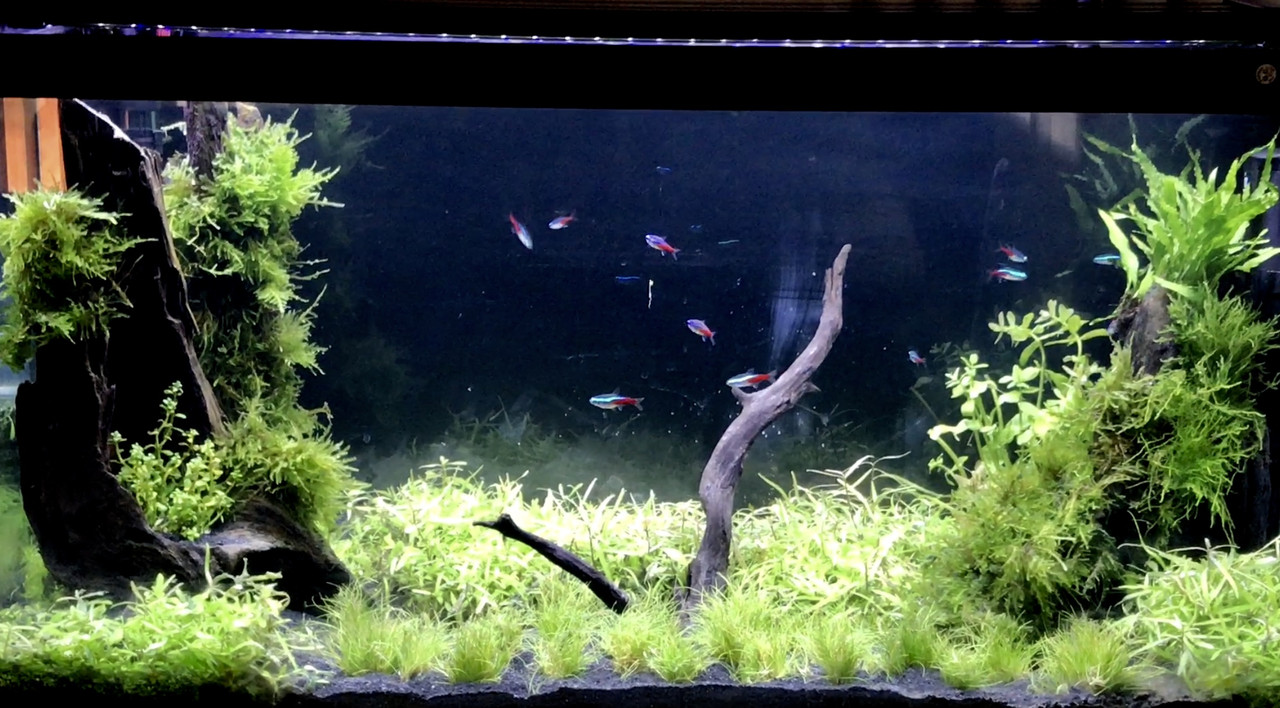 8D642379-AEA6-42D5-ABB6-95B04B3E5137