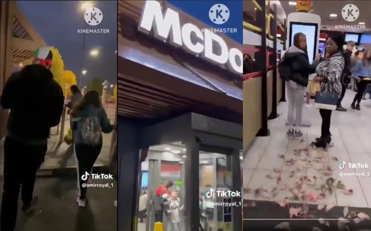 Arrojan ratones teñidos de los colores de Palestina en McDonald's del Reino Unido