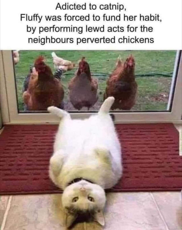 118551976_10220165940632776_6282860013750766966_o (002)