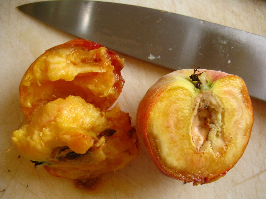 ugly peach