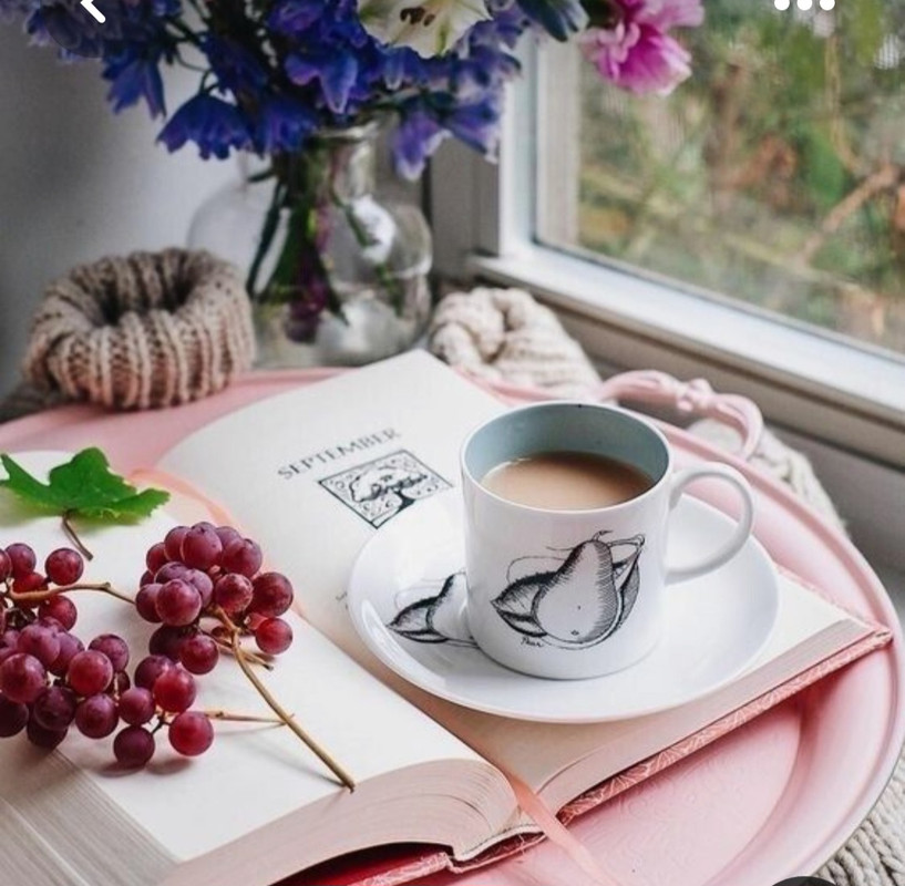 Screenshot_20230328_003055_Pinterest