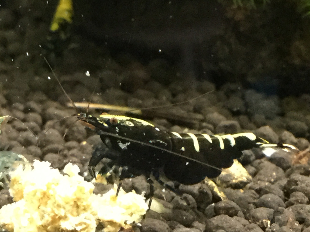 BE9CCE85-928E-4001-B85B-657A01A7D2D4