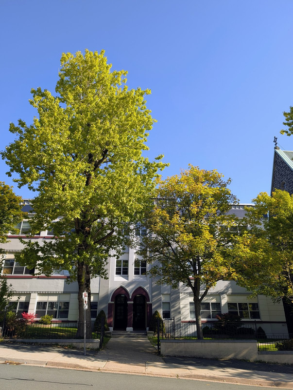 PXL_20251004_130341764.MP~2