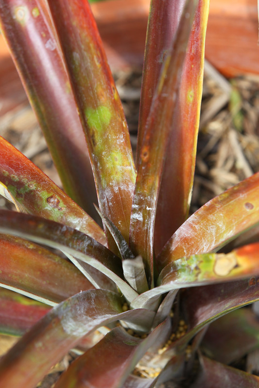 B09EED71-2250-493D-8DB8-E06111C83003