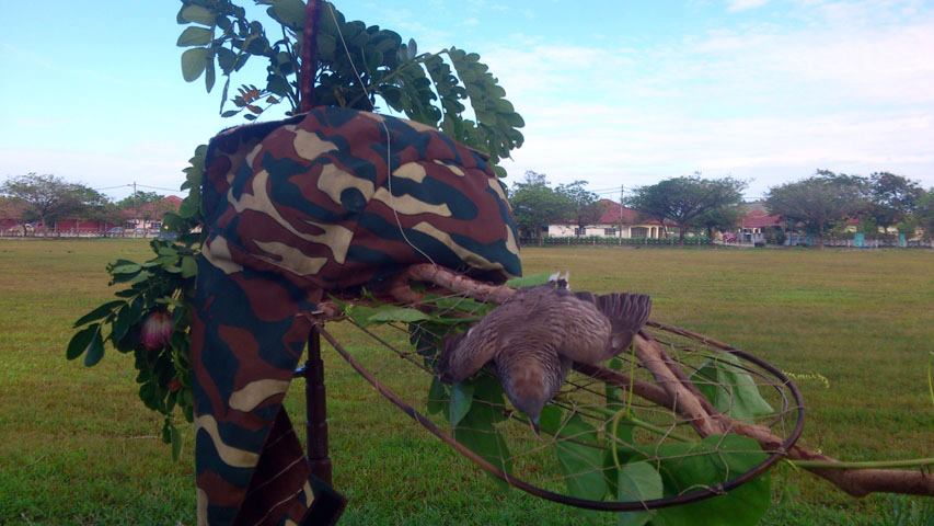 Padang Bola BPJ 080313 (1)