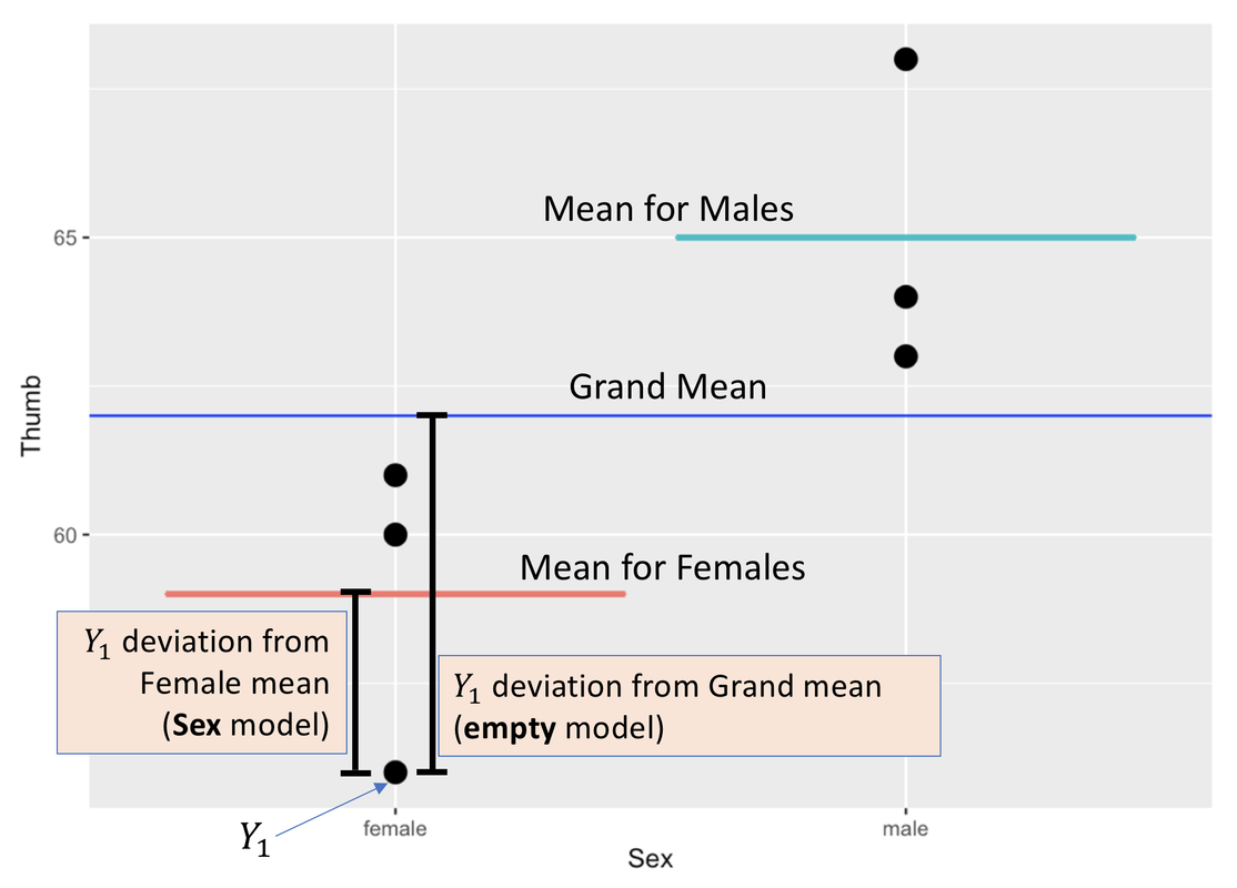 A scatterplot of the distribution of Thumb by Sex in TinyFingers with a horizontal line in blue showing the grand mean, a horizontal line in red showing the mean for females, and a horizontal line in green showing the mean for males. We draw a distance from a point to the line that represents the corresponding group mean to show the deviation from that measured thumb length from its predicted thumb length.