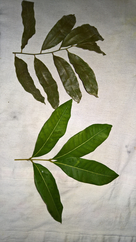 WP_20170412_12_30_49_Pro