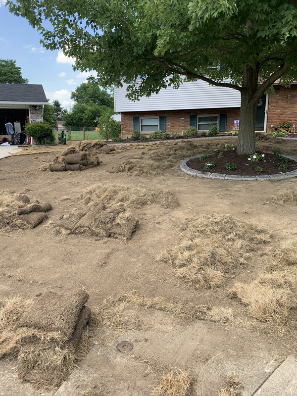 A702929D-228E-4E6E-89F5-3311029C3C91