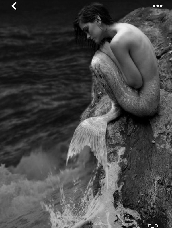 Screenshot_20231220_143655_Pinterest