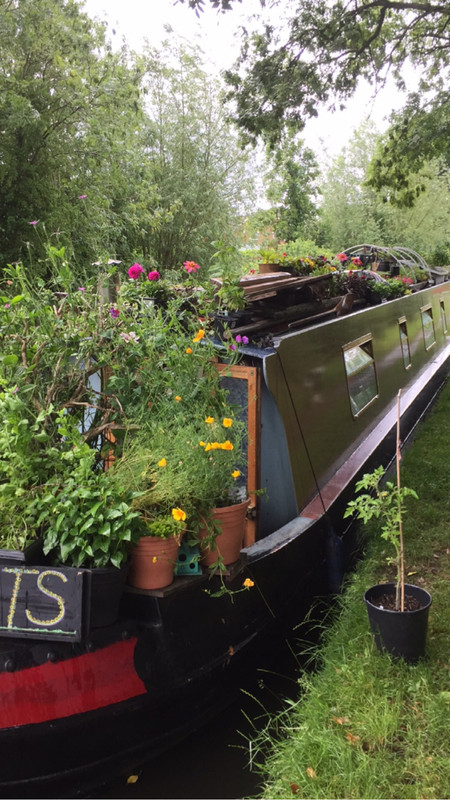 5B380079-020D-4B68-9C54-655BD2E1E912