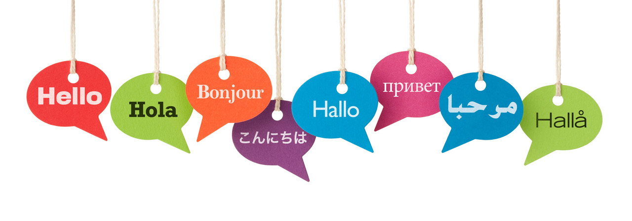 Language translation service