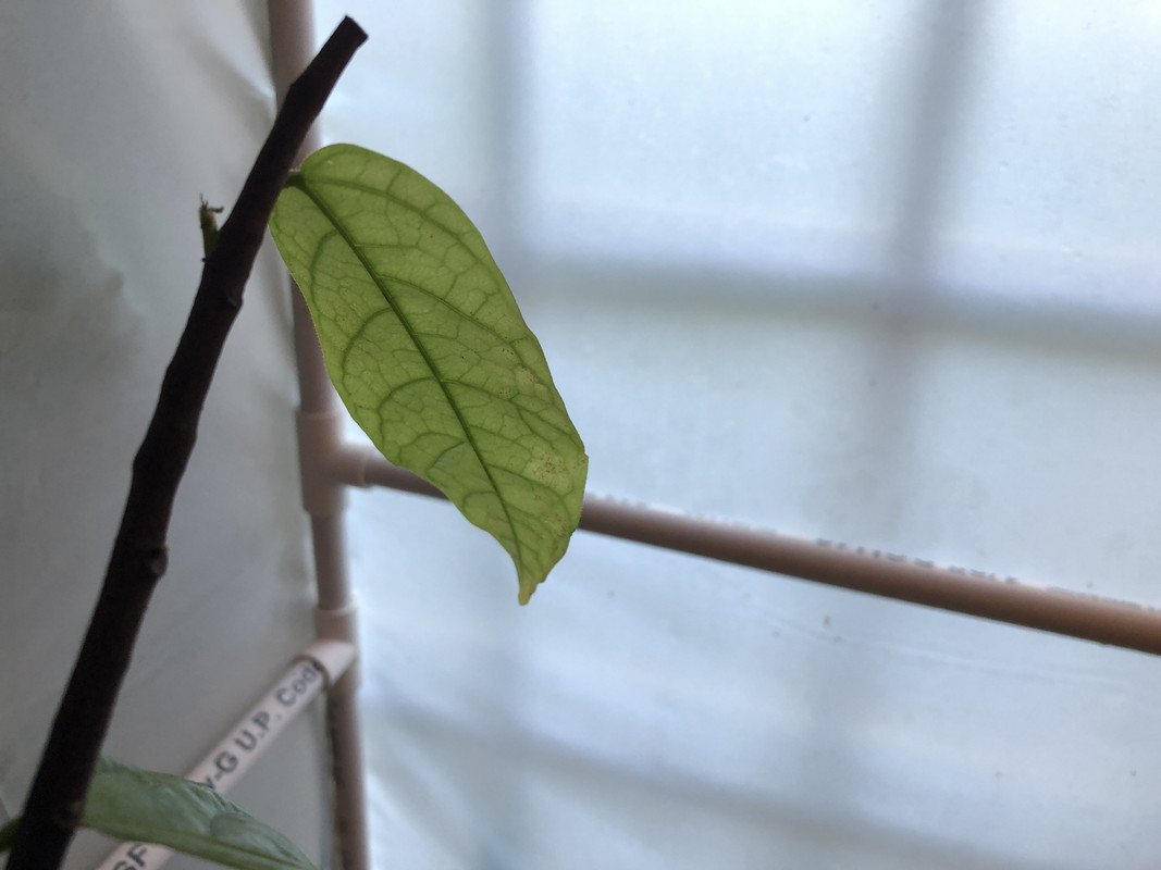 E0EADAED-1D0F-4D8C-AF3C-1CF10AA56468