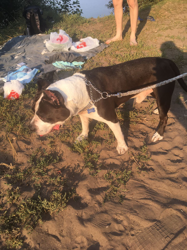 EB646211-E840-47C4-B3FB-E5A4BFB83880