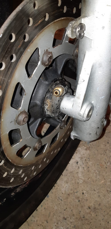 WhatsApp Image 2019-02-26 at 21.30.17(1)