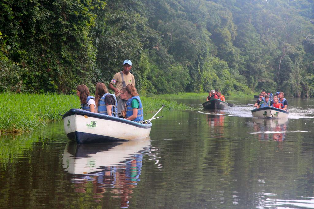 DIA 3: CANALES, COLINAS Y TORTUGAS - DE TORTUGAS Y PEREZOSOS. COSTA RICA 2019 (19)