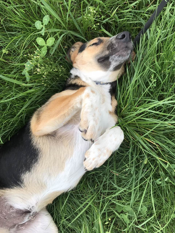 IMG-4a6f147daa6f758b98ec35a238ddfbba-V