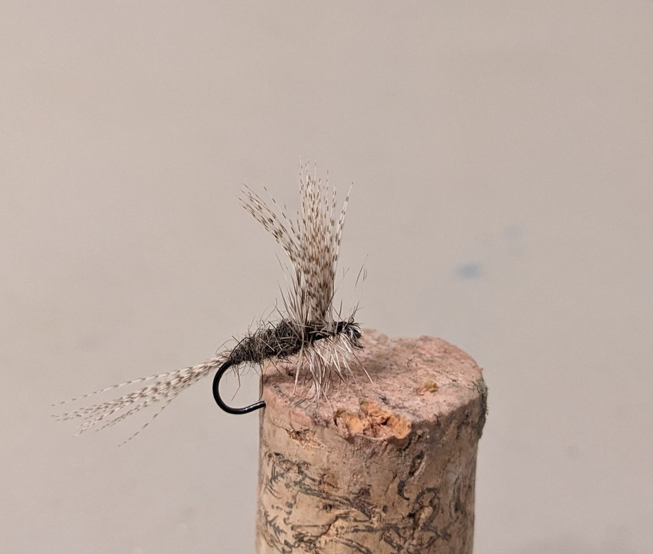 PXL_20230130_025619940~2