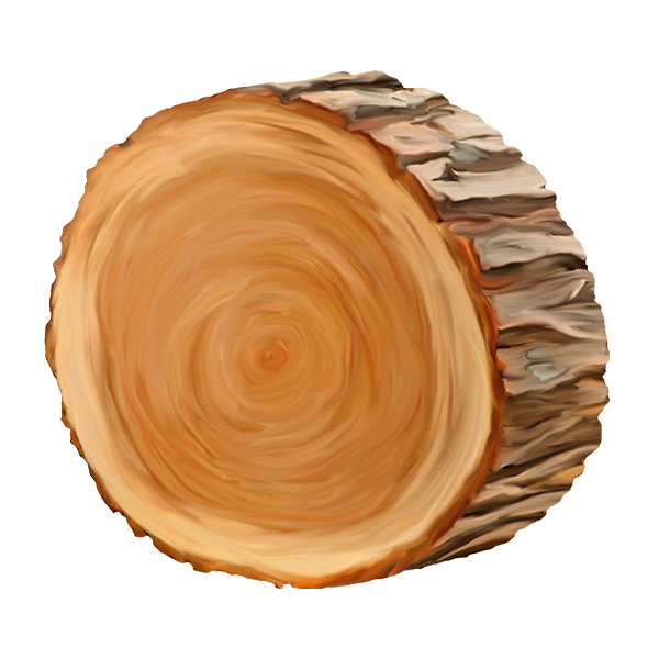 KBK_ForestSchool (111)