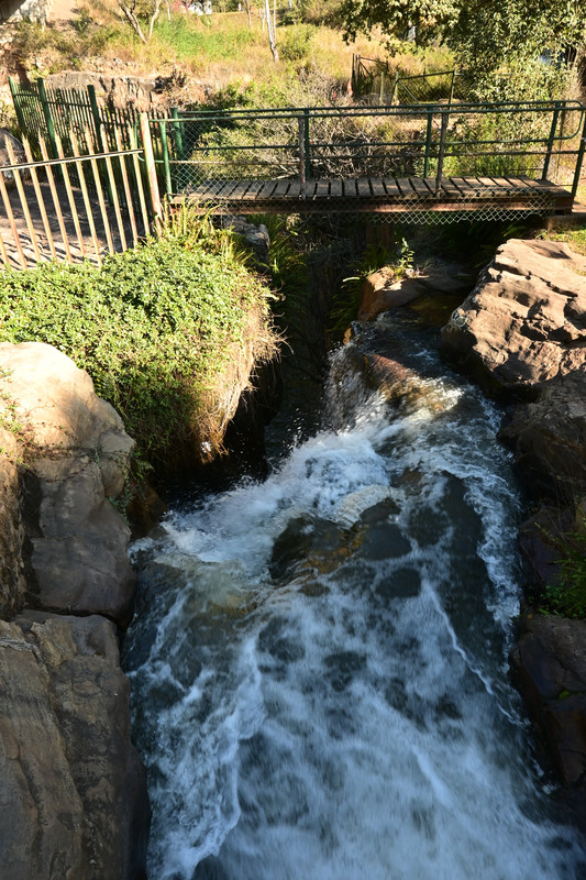 DSC 0573
