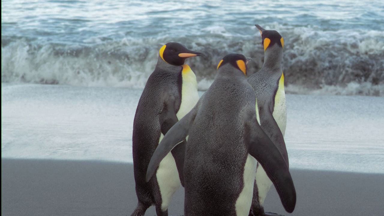 vlcsnap-2023-10-22-14h43m33s783