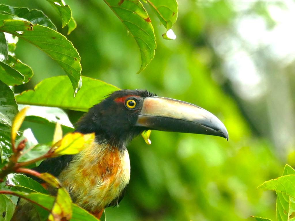 93F5F8B6-A5FD-43C6-AF5E-33E852608617