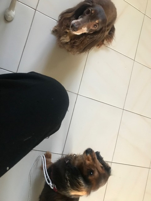 [Image: IMG-2885.jpg]