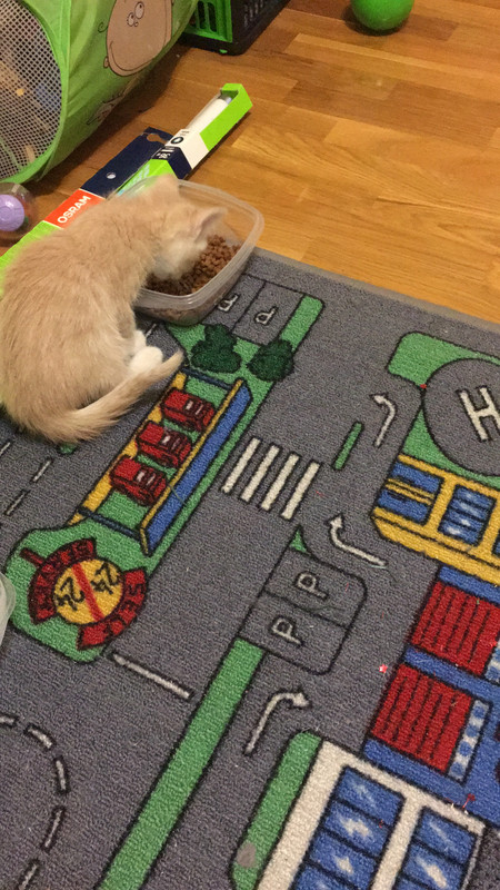 9E302CAE-8CB4-4FEA-83CE-BE43A3C96007