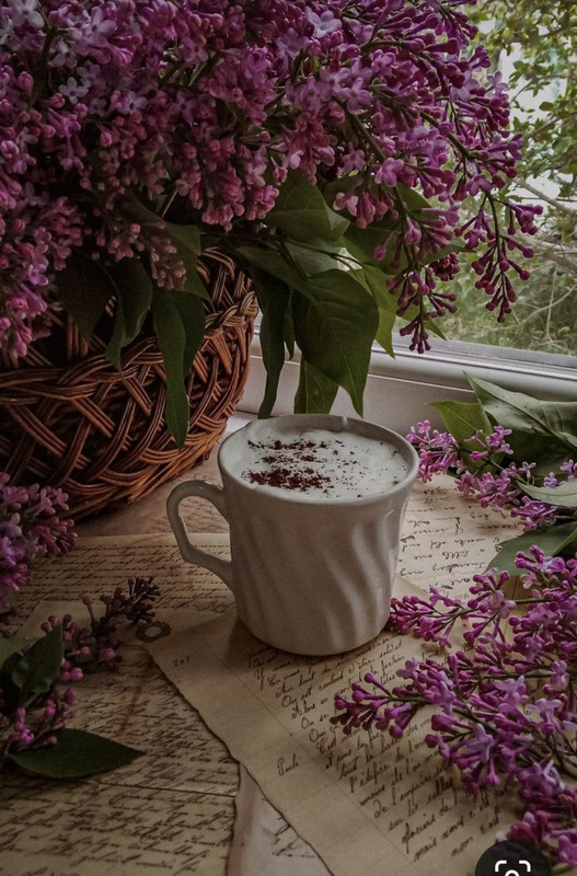 Screenshot_20230909_233231_Pinterest