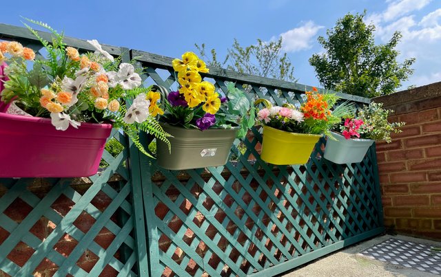 trellis.jpg