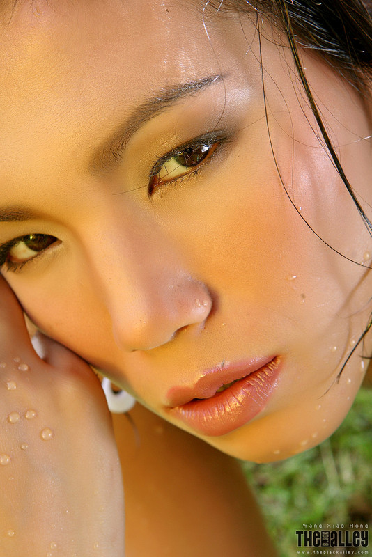 Wang Xiao Hong - Set 020133