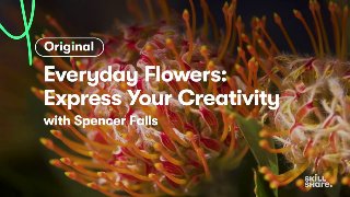 Everyday Flowers Express Your Creativity Everyday Flowers Express Your Creativity
