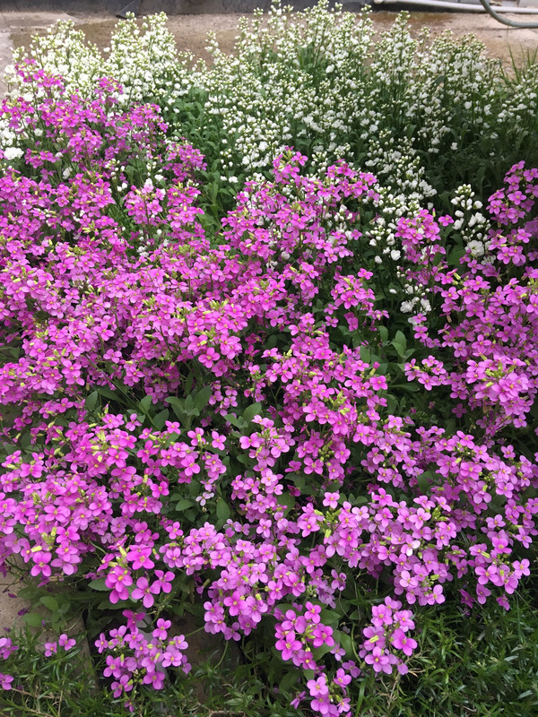 2B8C990D-50D7-4084-8AAE-C41D11FEB5DA