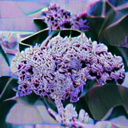 uv