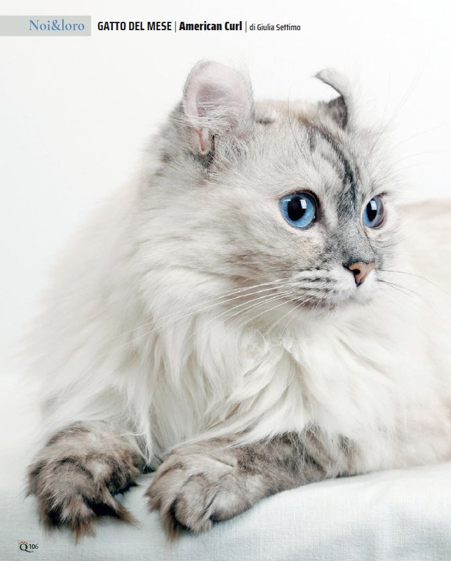 QuattroZampe Giu 2023 (9)