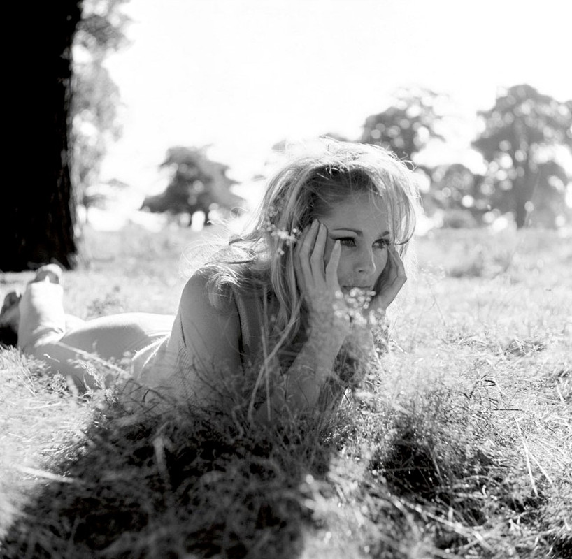 ursula_andress_c83