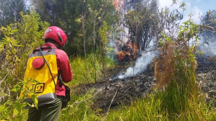 Kebakaran hutan menimpa kawasan Taman Nasional Bromo Tengger Semeru sejak 18 Agustus 2023. Kini aktivitas pendakian dan wisata masih tetap dibuka.