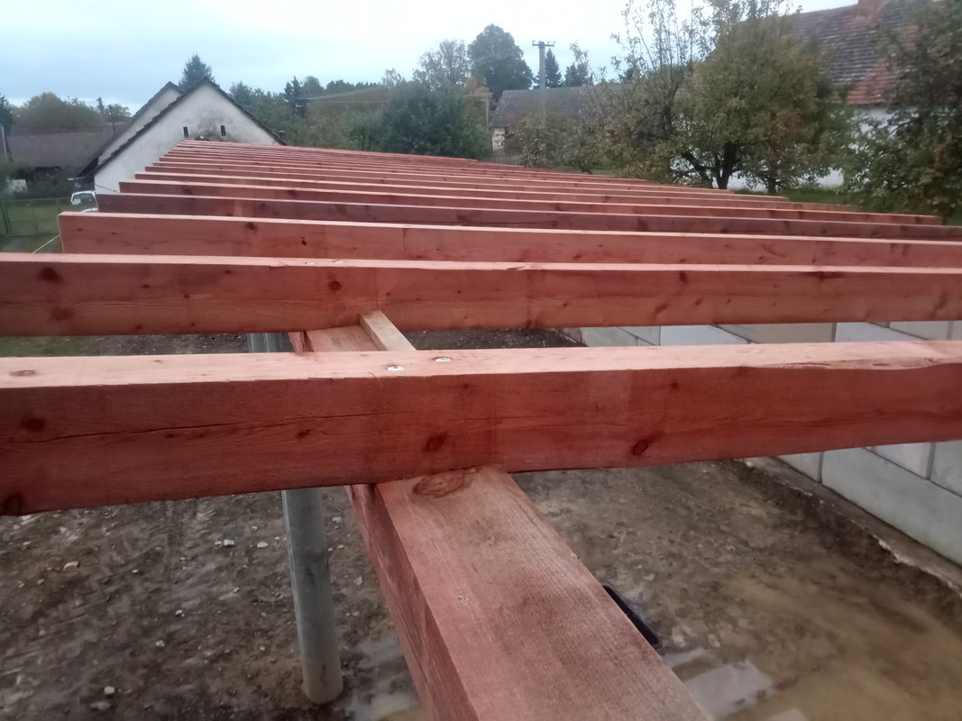 IMG_20251010_183019_353