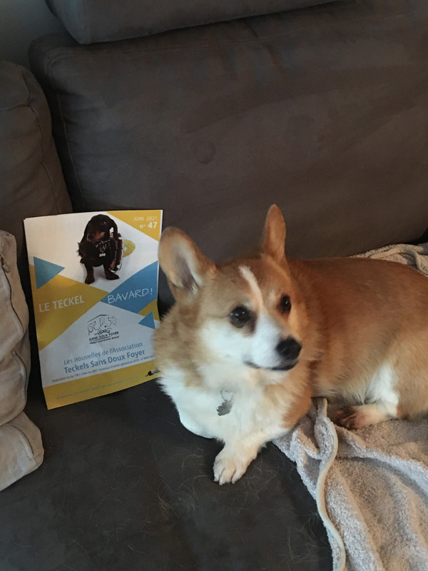 [Image: 0-DDE67-E0-2-D40-44-CC-8450-3-A30-E7-A3634-E.jpg]