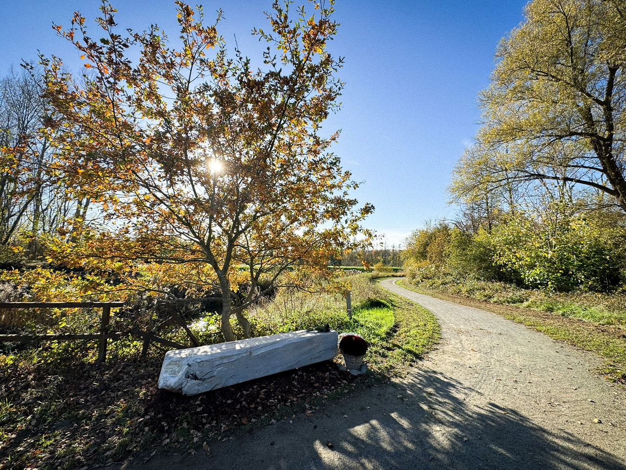 576829970-1280039817497837-7817145458969897293-n