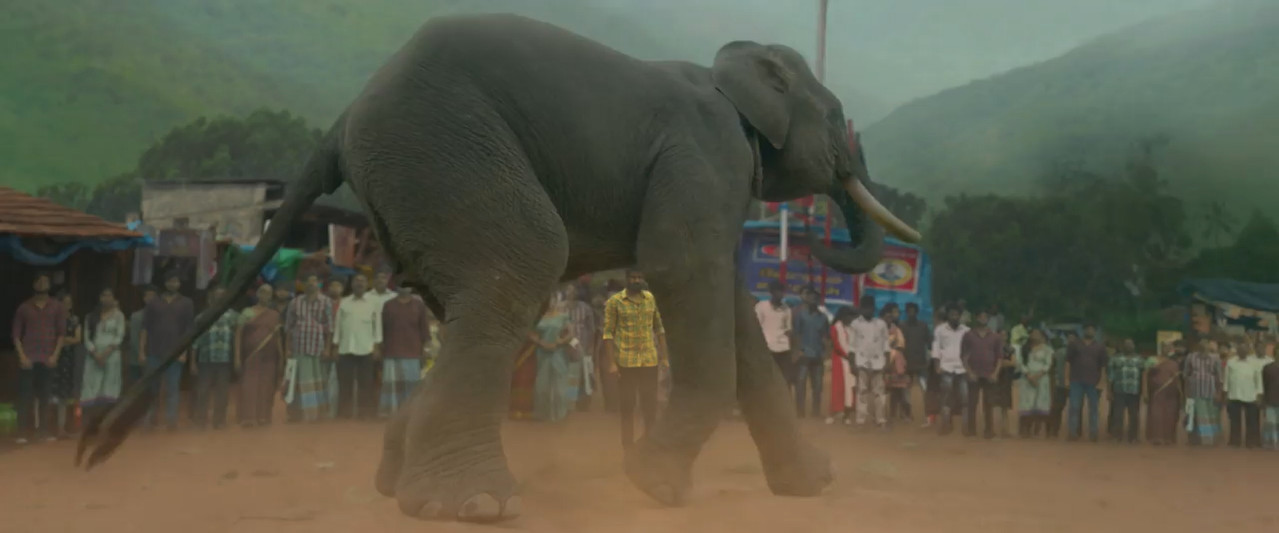 Kumki 2 2025 WebRip [Tamil] 480p 720p ESub Screenshot