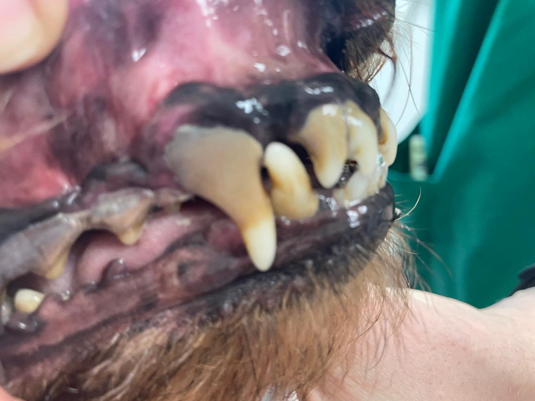 [Image: IMG-20240603-WA0013.jpg]