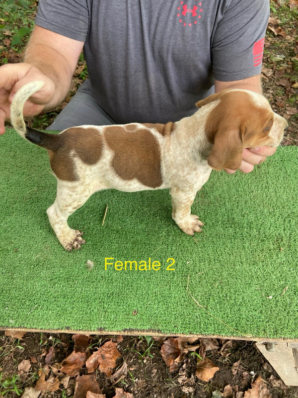 31AD4EA7-1646-4E25-8B0A-56A1A589CD29