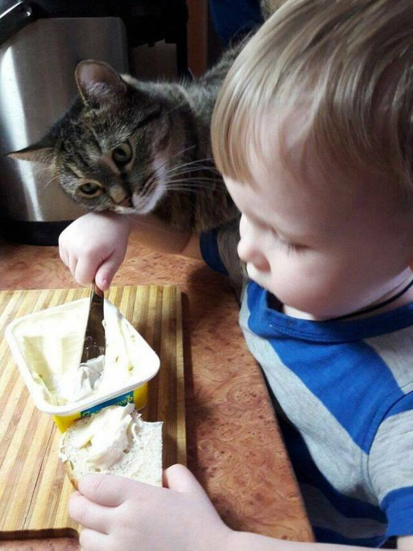picdump-kw27-2025-003.jpg