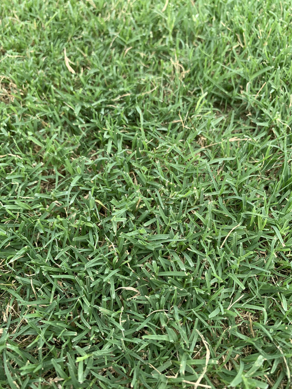 87E8EA75-0311-41FB-8A34-BAC7A5F70B8F