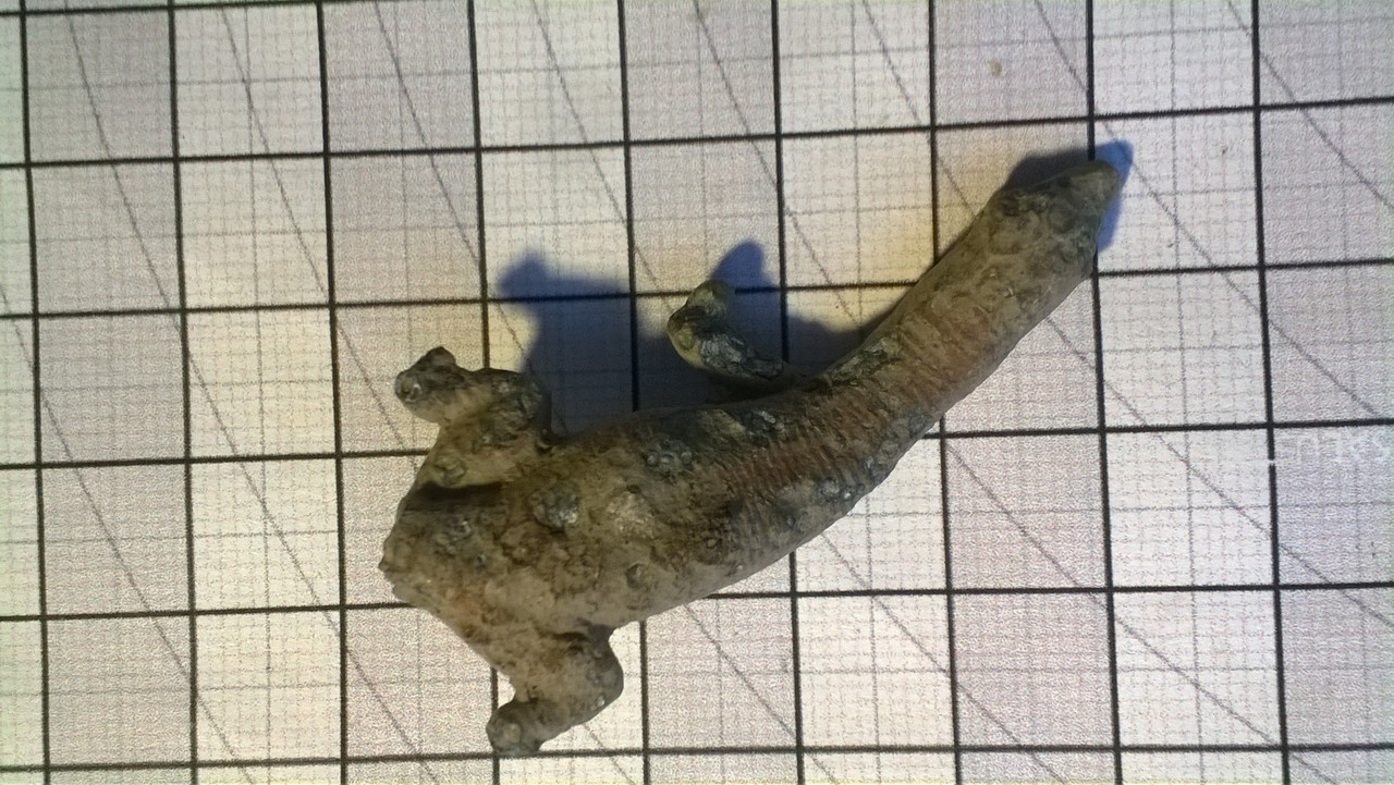 WP_20150214_017